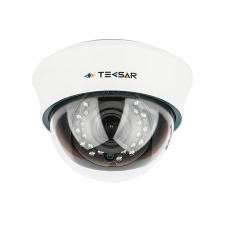 IP-відеокамера Tecsar IPD-M20-V20-poe